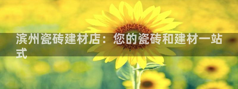 杏鑫平台代理怎么做赚钱