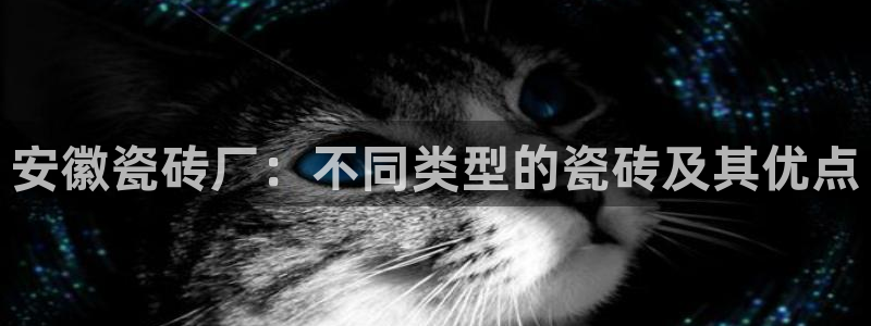 杏鑫平台招商电话是多少