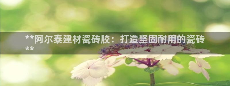 杏鑫平台平台