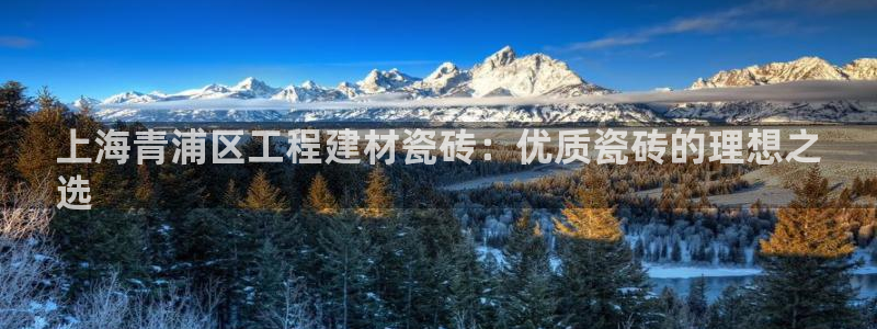 杏鑫官网注册账号是什么意思