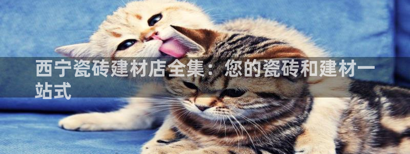 杏鑫官方平台怎么样啊可靠吗