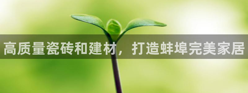 杏鑫官方app代理