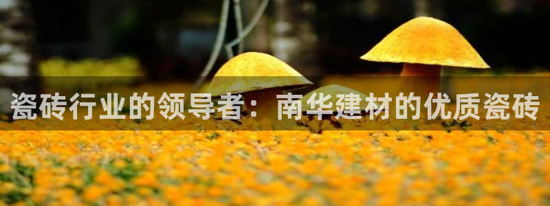 杏鑫注册平台官方网站下载