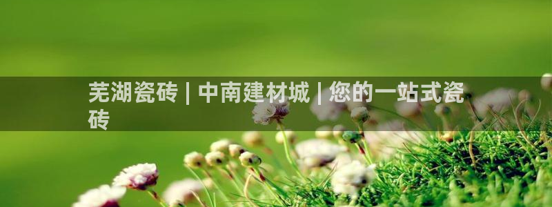 杏鑫官方平台怎么样可靠吗