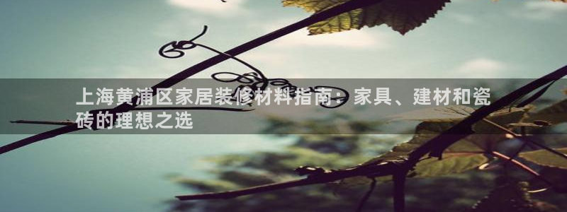 杏鑫官方平台怎么样啊安全吗