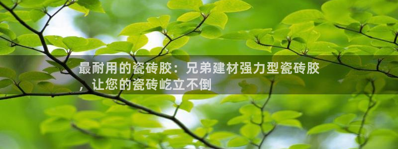 杏鑫平台招商怎么样