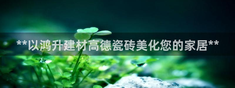 杏鑫平台招商
