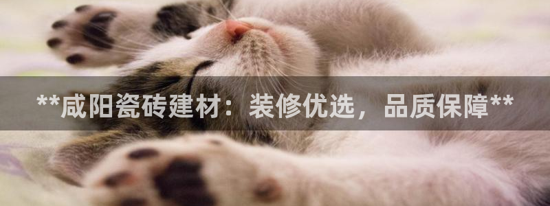 杏鑫注册平台官方网站入口