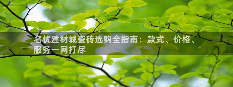 杏鑫注册登录代理