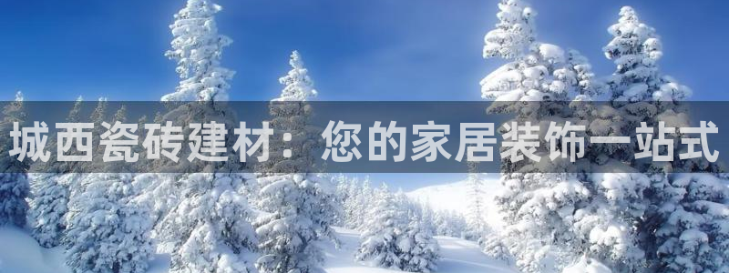 杏鑫官网注册账号密码是什么