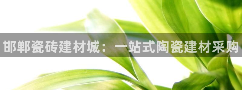 杏鑫官网注册账号是什么