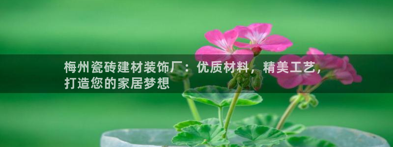 杏鑫平台是黑平台吗知乎