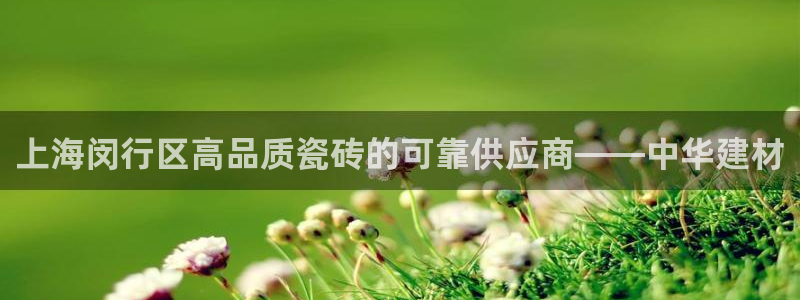 杏鑫官网最新信息