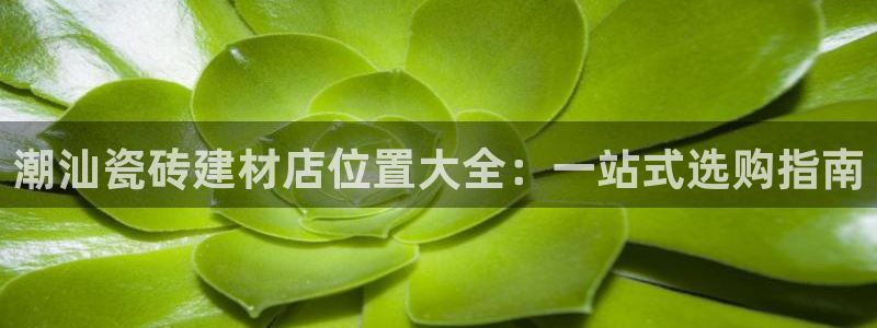 杏鑫测速注册