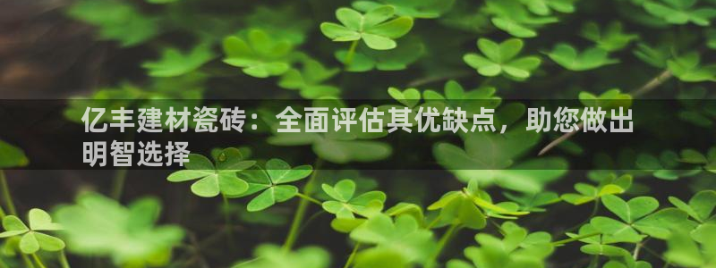 杏鑫注册登录代理公司