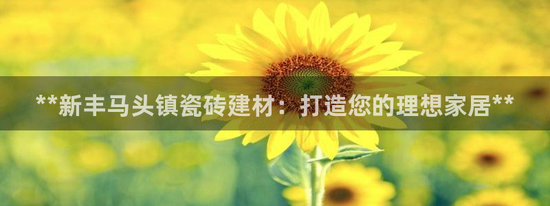 杏鑫3主管