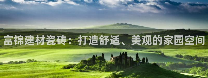 杏鑫官方平台怎么样啊安全吗