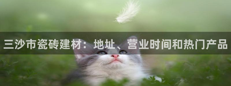 杏鑫官方平台怎么样啊知乎