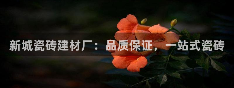 杏鑫娱乐官方网站客户端下载安装
