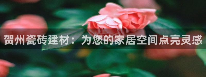 杏鑫平台提供