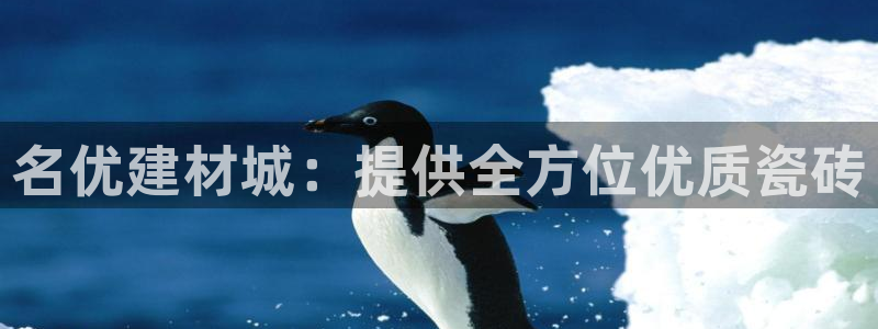 杏鑫有亏损返点吗