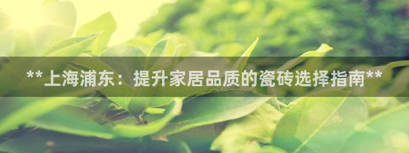 杏鑫娱乐开发团队