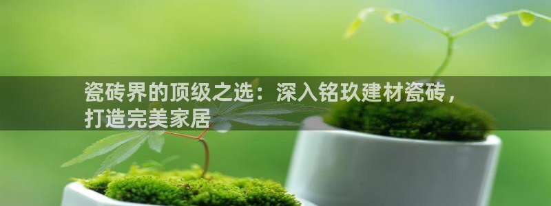 杏鑫平台是黑平台吗是真的吗