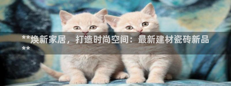 杏鑫娱乐多少年了