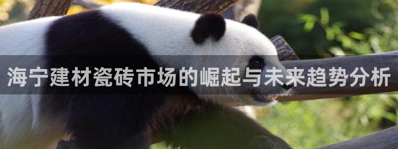 杏鑫平台正规吗是真的吗