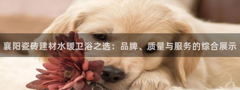 杏鑫平台招商怎么样可靠吗
