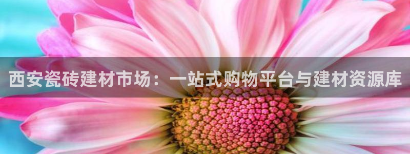 杏鑫平台怎么样黑钱吗是真的吗