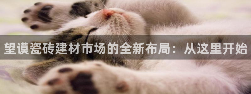 杏鑫官网最新信息新闻报道