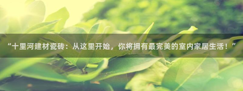 杏鑫3主管