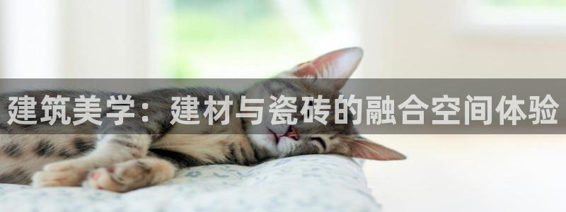 杏鑫平台招商电话号码查询