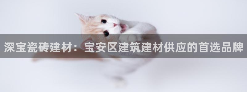 杏鑫平台招商电话