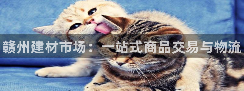 杏鑫娱乐官方网站客户端