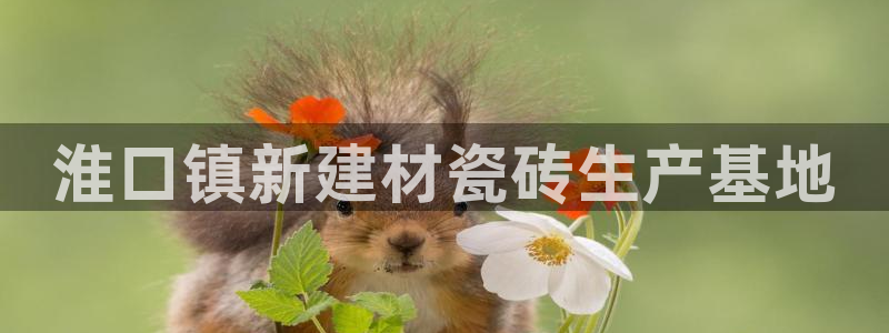 杏鑫娱乐是合法的吗?