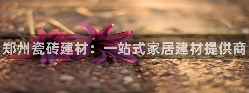 杏鑫平台招商电话是多少