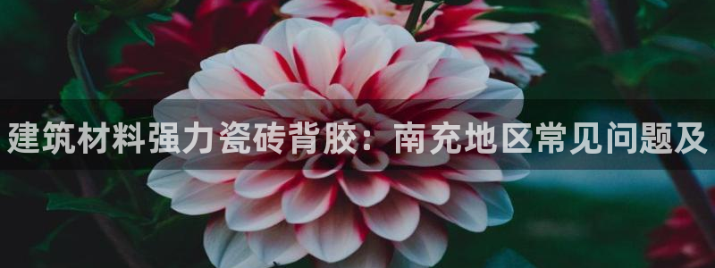 杏鑫平台招商怎么样啊